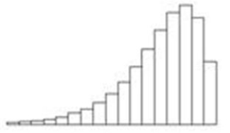 The distribution pictured below is  