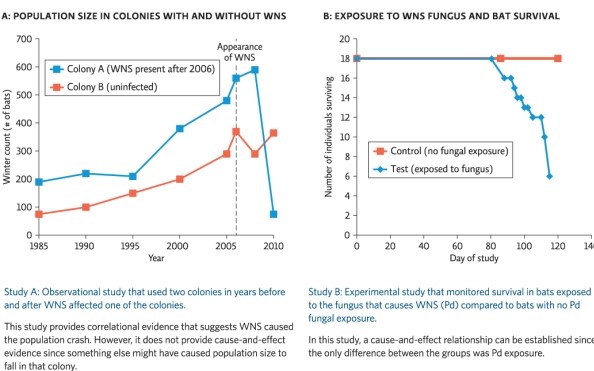 <strong>Science Literacy Use Infographic 5 below to answer the next questions. The bat colony affected by the WNS fungus reached the lowest winter count in which year?</strong> A)1985 B)1995 C)2005 D)2010