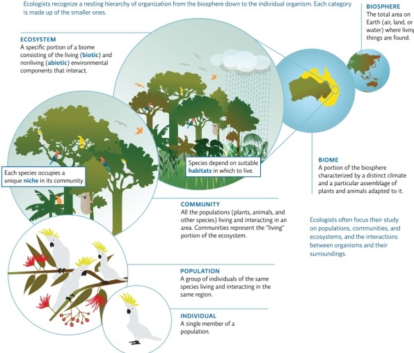   Refer to Infographic 1.Use the infographic to describe examples of considerations scientists had to take into account when planning Biosphere 2. <div style=padding-top: 35px> 