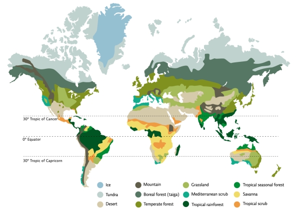 Refer to Infographic 3.From the infographic,which type of biome is mostly found 30° north or south of the equator? What conditions exist there?  <div style=padding-top: 35px> 