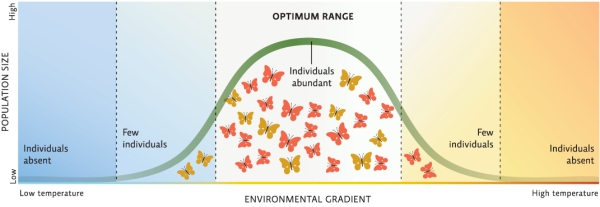 Refer to Infographic 4.For several years,you have been investigating the effects of a warmer climate on a butterfly population.Recently,you have noticed that the butterflies found in what would traditionally be the zone of physiological stress are growing and breeding more successfully than the butterflies in the zone of optimum range.How do you explain this shift?  <div style=padding-top: 35px> 