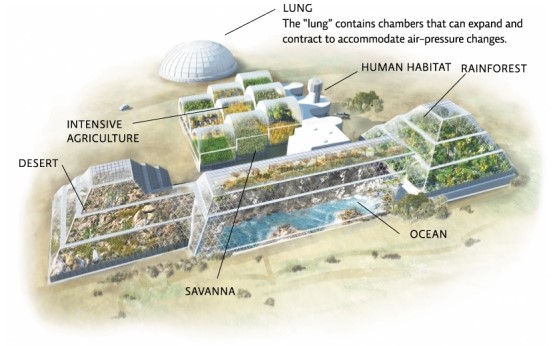 Refer to the figure below.Describe ways that scientists attempted to design Biosphere 2 to minimize the effects of limiting factors and help keep organisms within their zone of optimum range.  <div style=padding-top: 35px> 