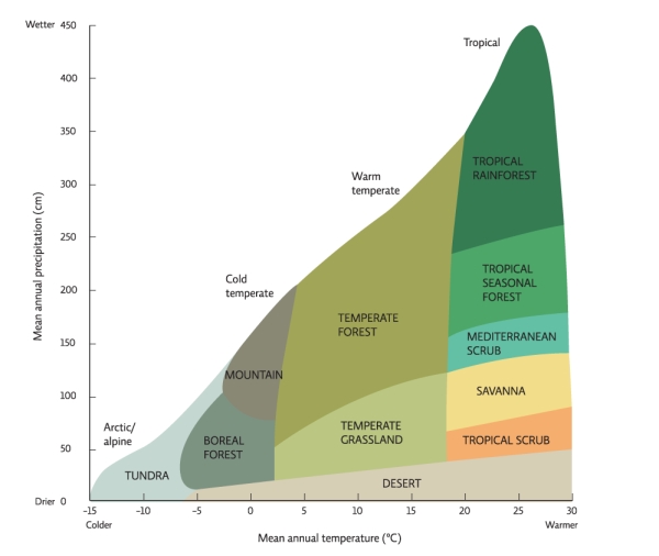 <strong>Science Literacy Use the following graph to answer the next questions:   Which biome has the greatest range of mean annual temperature?</strong> A)temperate forest B)tundra C)tropical rainforest D)desert <div style=padding-top: 35px> 