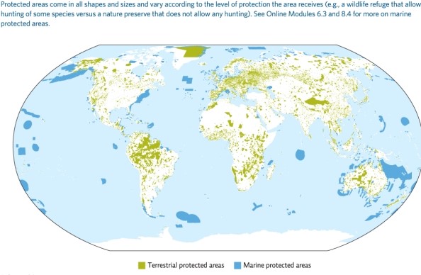 In Infographic 7,South America is shown as having a large amount of protected areas.Why do you think these protected areas are especially important to the biodiversity of Earth?