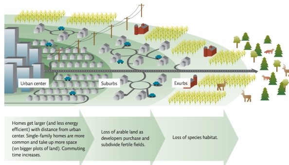 Refer to Infographic 4.What are some of the unwanted consequences of suburban sprawl?