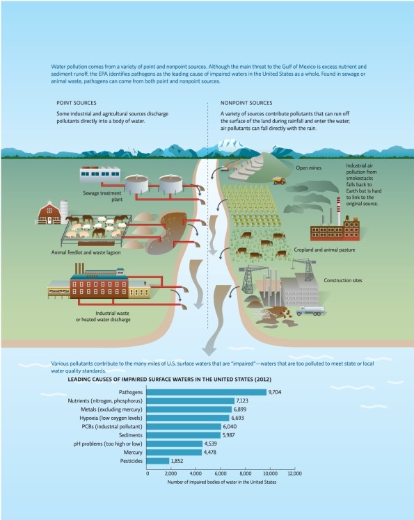 <strong>Refer to Infographic 1.What is the leading cause of impaired surface water in the United States? </strong> A)nutrients such as nitrogen and phosphorus B)metals C)low oxygen levels D)pathogens E)pesticides
