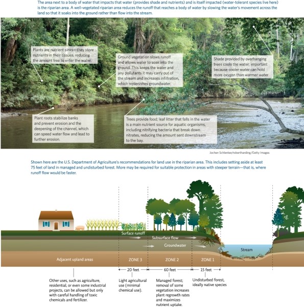 <strong>Refer to Infographic 6.Which of the following would be appropriate land use for Zone 3? </strong> A)industrial projects B)managed forests C)undisturbed forests D)residential homes E)light agricultural use