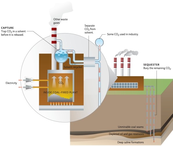 Refer to Infographic 7.Explain what can be done with captured carbon dioxide.
