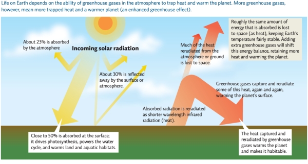 Refer to Infographic 3.Describe how the greenhouse effect works.What is different with the enhanced greenhouse effect,and what are the main causes of it?