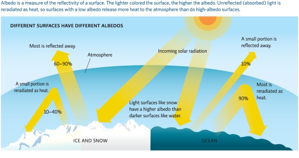 Refer to Infographic 5A.Explain why the Arctic is particularly vulnerable to climate change.