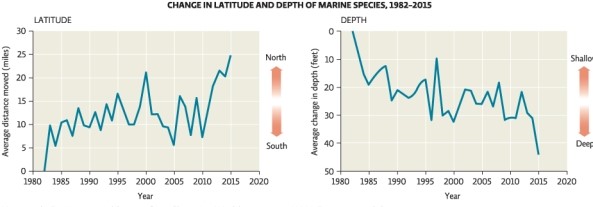 <strong>Science Literacy Use the following graphs to answer the next questions. How does the trend of marine species change for depth from 1982 to 2015?</strong> A)Species moved to more northern latitudes. B)Species moved to more shallow depths. C)Species moved to more southern latitudes. D)Species moved to more deeper depths.