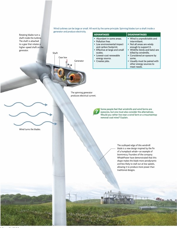 <strong>Refer to Infographic 3.What is the correct order of the steps used to generate electricity in a wind turbine? I.Rotating blades turn a shaft inside the turbine. II)A spinning generator produces electrical current. III)Wind turns turbine blades. IV)The shaft is attached to a higher-speed gear that turns the generator. </strong> A)I,III,IV,II B)I,II,III,IV C)III,II,I,IV D)III,I,IV,II E)II,IV,I,III