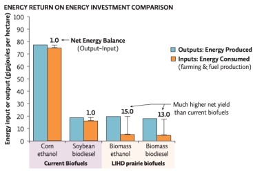 <strong>Refer to Infographic 4.Use the data from the energy return on energy investment comparison graph to determine which crop offers the highest net energy return (output - input). </strong> A)corn grain ethanol B)soybean biodiesel C)biomass combustion D)biomass ethanol E)biomass biodiesel