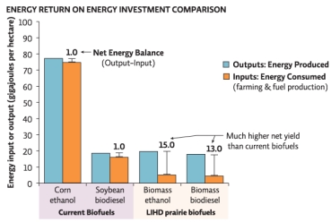 <strong>Science Literacy Use the graph below in answer the next questions. The order of biofuels from the HIGHEST net energy production to the LOWEST is _______.</strong> A)corn ethanol,biomass ethanol,biomass biodiesel B)soybean diesel,biomass biodiesel,corn ethanol C)biomass biodiesel,corn ethanol,biomass ethanol D)biomass ethanol,biomass biodiesel,corn ethanol