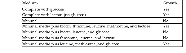Analyze the following growth of a bacterial colony. What is the genotype of the bacterium?