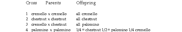 The following coat colors are known to be determined by alleles at one locus in horses: palomino = golden coat with lighter mane and tail cremello = almost white chestnut = brown The following table gives ratios obtained in matings of the above varieties: Assign gene symbols for the genetic control of coat color on the basis of these data.