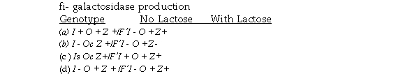 The table below lists several genotypes associated with the lac operon in E.coli.For each,indicate with a + or a - whether functional fi- galactosidase would be expected to be produced at induced levels. I<sup>+ </sup>= wild- type repressor I<sup>- </sup>= mutant repressor unable to bind to the operator) I<sup>s </sup>= mutant repressor insensitive to lactose) O<sup>+ </sup>= wild- type operator O<sup>c </sup>= constitutive operator insensitive to repressor)