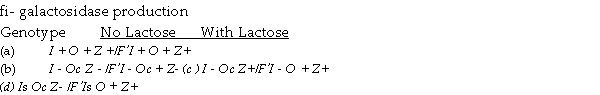 The accompanying table lists several genotypes associated with the lac operon in E.coli.For each,indicate with a + or a - whether fi- galactosidase would be expected to be produced at induced levels. I<sup>+ </sup>= wild- type repressor I<sup>- </sup>= mutant repressor unable to bind to the operator)I<sup>s </sup>= mutant repressor insensitive to lactose) O<sup>+ </sup>= wild- type operator O<sup>c </sup>= constitutive operator insensitive to repressor)