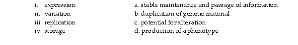 <strong>Match the function of DNA on the left with the appropriate description on the right. Which of the choices below is correct?</strong> A)i = d; ii = b; iii = c; iv = a B)i = d; ii = c; iii = b; iv = a C)i = d; ii = b; iii = a; iv = c D)i = b; ii = d; iii = a; iv = c E)i = c; ii = a; iii = b; iv = d