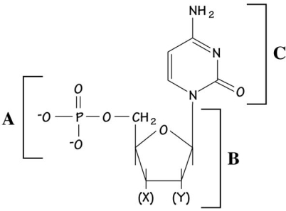 <strong>The figure below is a nucleotide: - If this molecule were found in an RNA chain,the chemical group labeled X would be and the chemic labeled Y would be _________ .</strong> A)OH; H B)OH; OH C)H; H D)H; OH