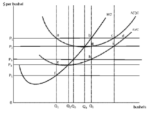 <strong>Figure 8-21 Consider Figure 8-21.If the market price is P<sub>2</sub>, which of the following best describes the long-run implications for the industry?</strong> A)Profit will attract new resources to the industry and drive the market price down. B)Profit will attract new resources to the industry and drive prices up. C)The lack of profit will lead to the maintenance of the status quo. D)Losses will drive resources from the industry and drive market price down. E)Losses will drive resources from the industry and drive market prices up.
