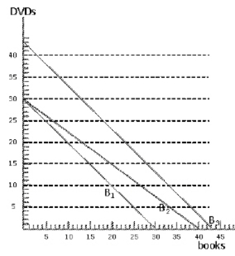 <strong>Exhibit 6-26 Consider Exhibit 6-26.Three budget lines are shown.Which of the following statements is true about the budget lines?</strong> A)Budget line B<sub>2</sub> reflects the same income and price for DVDs as budget line B<sub>1</sub> but a higher price for books. B)Budget line B<sub>3</sub> reflects a higher income but the same price for both books and DVDs as budget line B<sub>2</sub>. C)Budget line B<sub>3</sub> reflects higher income and the same prices for both books and DVDs as budget line B<sub>1</sub>. D)Budget line B<sub>1</sub> reflects lower income than budget line B<sub>2</sub>. E)Budget line B3 reflects a lower price ration than budget line B<sub>3</sub>.