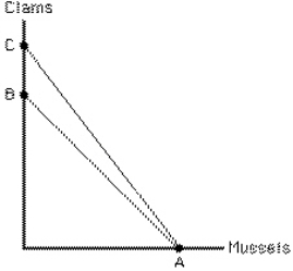 <strong>Exhibit 6-27 Consider Exhibit 6-27.The rotation of the budget line from AB to AC represents a(n)</strong> A)increase in the price of clams B)increase in the price of mussels C)decrease in the price of clams D)decrease in the price of mussels E)increase in the amount the consumer can spend