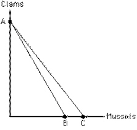 <strong>Exhibit 6-28 The rotation of the budget line in Exhibit 6-28 from AB to AC represents</strong> A)an increase in the price of clams B)an increase in the price of mussels C)a decrease in the price of clams D)a decrease in the price of mussels E)an increase in the amount the consumer can spend