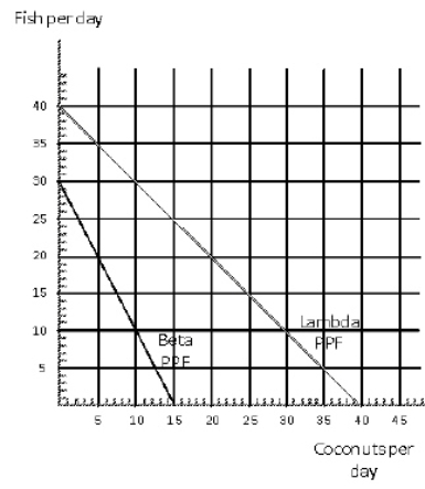 <strong>Exhibit 19-1 Exhibit 19-1 shows the production possibilities frontiers for the countries of Lambda and Beta for fish and coconuts.What is the opportunity cost of a coconut in Lambda?</strong> A)1/2 fish B)1 fish C)2 fish D)21/2 fish E)cannot tell from the information provided
