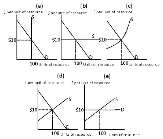 <strong>Exhibit 11-1   Condider Exibit 11-1.Each of the panels depict the supply and demand conditions in a resource market.In which of the panels will the resource earnings be entirely economic rent?</strong> A)panel (a) B)panel (b) C)panel (c) D)panel (d) E)panel (e) <div style=padding-top: 35px> 