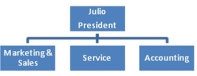 Julio is the owner of Party Pros, Inc., a party supply company. The company provides tents, tables, chairs, and related products for weddings, Bar and Bat Mitzvahs, graduations, birthdays, and other celebrations. As sales have increased, the organization has brought on more personnel and departmentalized to more efficiently handle purchasing, sales, service, and accounting. Everyone is still responsible for achieving company goals. Upon seeing Celebration's organization chart, you agree it uses a