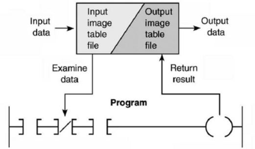 <strong>For the scan process shown, step 2 involves:  </strong> A)solving the ladder program. B)transferring data to the output module. C)transferring data to the input module. D)reading data from the input module. <div style=padding-top: 35px> 