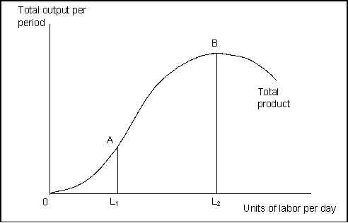 <strong>Use the following for questions 37-43. Exhibit: Total Product   (Exhibit: Total Product) Units of labor added after L₁ and up to L₂ are:</strong> A) subject to diminishing marginal returns. B) adding increasing amounts to total product. C) adding positive amounts to total product. D) described in A and C. <div style=padding-top: 35px> 