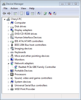 -Refer to the graphic. What program was used to access this information?