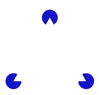 <strong>What does this figure show? </strong> A)a Necker triangle B)an illusory pacman C)a Kanisza triangle D)a Kohler figure