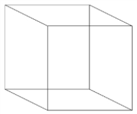 <strong>What is TRUE about the Necker cube shown below? </strong> A)The Necker cube is an example of the principle of prosopagnosia. B)The Necker cube can be seen in one of two orientations. C)The Necker cube demonstrates the gestalt principle of interactivity. D)The Necker cube illustrates edge completion.