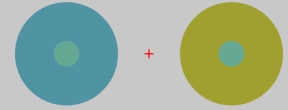<strong>In the figure below, the two inner circles are identical physically.That the surroundings make them appear to have different colors is an example of ______. </strong> A)hue cancellation B)spectral reflectance C)simultaneous color contrast D)afterimage detection