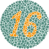 <strong>This image is known as a ______ and it serves to determine if a person is ______. </strong> A)Ishihara plate; color deficient B)Ishihara plate; rod monochromat C)Hering image; color deficient D)Hering image; rod monochromat
