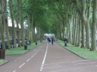 Which of these depth cues is prominent in the photograph below?