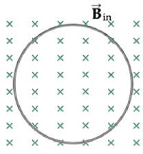 <strong>A circular loop is suspended in a uniform magnetic field as shown in the figure. If the loop area increases,what affect does this have on the induced current?</strong> A)The induced current is clockwise. B)The induced current is counterclockwise. C)There is no induced current. D)We would need to know the magnitude of the magnetic field.