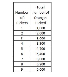 <strong>The table below shows the number of oranges picked by different pickers. Based on the table, the total output of labor diminishes with the addition of the _____ picker.Table 6-2   ​</strong> A)fifth B)seventh C)eighth D)ninth​ E)fourth <div style=padding-top: 35px> 