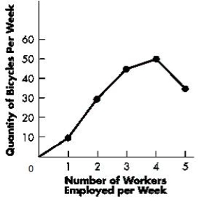 <strong>The figure below shows the change in the quantity of bicycles produced per week due to changes in the number of workers employed per week. Based on the figure, the marginal product of the second worker is _____.Figure 6-1  </strong> A)10 bicycles B)15 bicycles C)20 bicycles D)30 bicycles E)25 bicycles <div style=padding-top: 35px> 