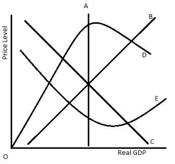 <strong>The figure below shows the relationship between the real GDP and the price level of an economy. In the figure, _____ represents aggregate demand.Figure 13-1 </strong> A)curve A B)curve B C)curve C D)curve D E)curve E