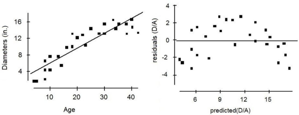 A forester would like to estimate the diameter of maple trees based on age. She gathers data from trees that have been cut and plots their diameters (in inches) against their ages (in years). She fits a linear model and both the scatterplot and residual plots are shown below. Which of the following is true?