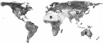 Questions refer to the figure above illustrating the earth's biogeographic realms. -The Palearctic realm is designated by