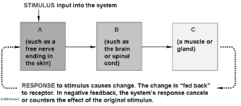 Use the figure above to answer questions -In this diagram of a negative feedback system, what labeled box represents a receptor?