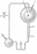 <strong>Who demonstrated the possibility of producing organic compounds from gases and water if the mixture is exposed to energy?</strong> A)Stanley Miller B)Thomas Brock C)Australian researchers D)Jeon Kwang E)Lynn Margulis