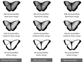 <strong>Whether a mutation is ultimately considered harmful, neutral, or lethal is often determined by </strong> A)phenotype. B)the will of the individual. C)the Hardy-Weinberg formula. D)environment. E)fate.