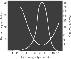 <strong>This graph shows both human birth weight and newborn infant mortality.The most common birth weight is between seven and eight pounds.Human birth weight seems to be an example of</strong> A)directional selection. B)stabilizing selection. C)sexual selection. D)disruptive selection. E)artificial selection.