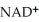 <strong>Which coenzyme is reduced in the following reaction? OH O - - → - - </strong> A)FAD B) C)CoQ D)NADH E)